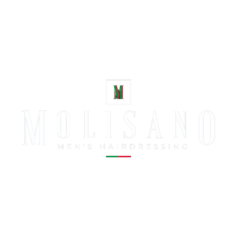 cropped MOLISANO Logo removebg